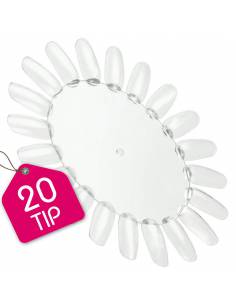 Espositore tip margherita trasparente