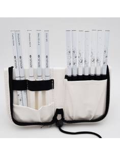 Brush case