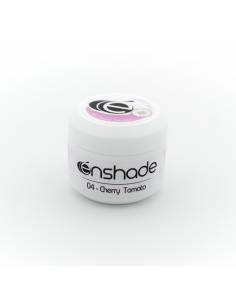 04 - Cherry Tomato 2